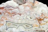 Polished Crazy Lace Agate Section - Mexico #125631-1